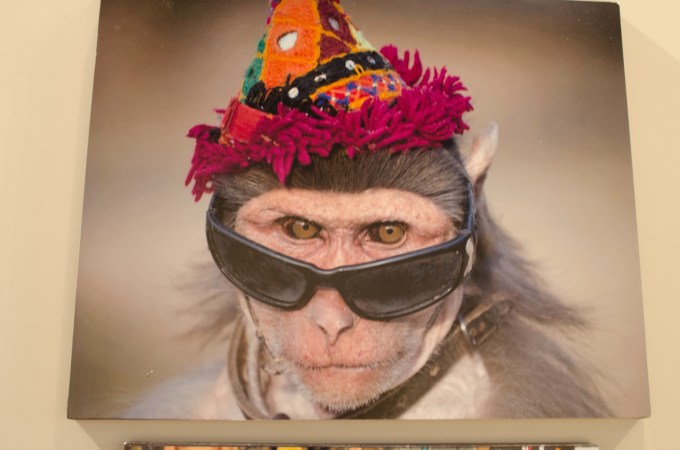 This is Pakistan 07 (1 of 1)