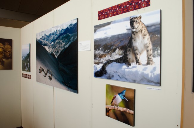 This is Pakistan (16 of 26)